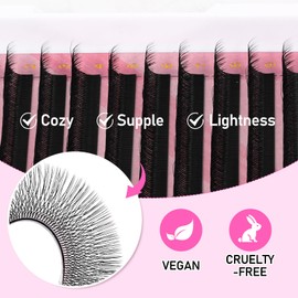 Arison Lashes Double Layers 6DW Shape Eyelash Extension Natural Soft Volume 0.07mm D Curl 10mm Premade Fans Faux Mink Matte Black 12 rows