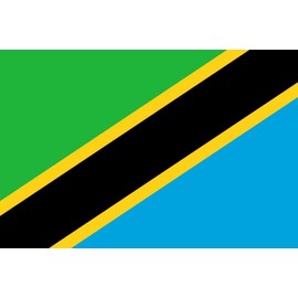 Tanzania 2'x3' Polyester Flag