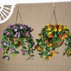 Fox Valley Traders Fully Assembeld Pansy Hanging Basket by OakRidgeTM
