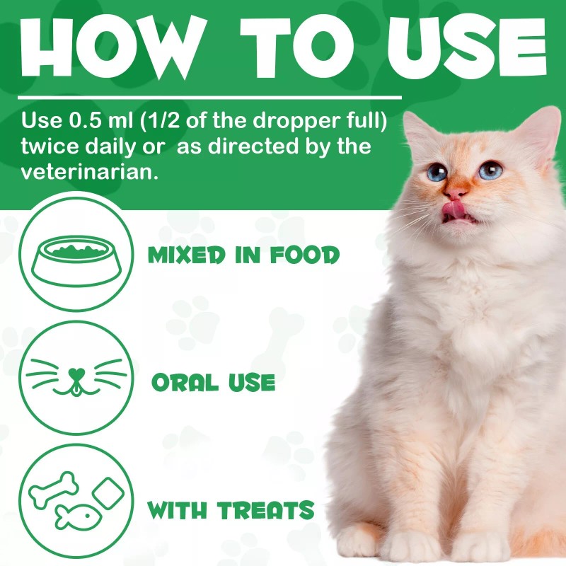 Oimmal Kidney Support for Cats Liquid Supplement Supports Healthy Kidney