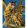 stickit Mini Plug-In System Owls Approx. 10,000 Pieces No. 41245