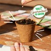 Back to The Roots 100% Organic Seed Packet - Lettuce
