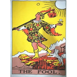 AVA Collections 220x140cm Tapestry The FOOL Card Wall Hanging Cotton Boho Trippy Twin Tapestries Art Hippie Bohemian Tapestry Home Living Room Decor (Fool)