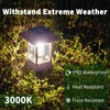 Glosola 6Pack Solar Pathway Lights Outdoor Waterproof IP65, Brown Solar