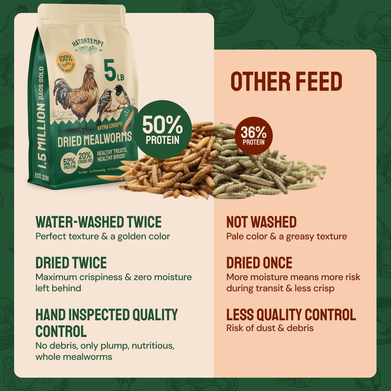Hatortempt Dried Mealworms - 5 Lb, Non-GMO & Organic -