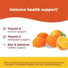 Nature Made Wellblends ImmuneMAX Gummies, Vitamin C, Zinc, and Vitamin
