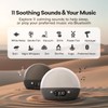 Dekala RestOnn Sunrise Alarm Clock Sunset Sound Machine 7-Day Programmable
