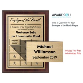 Employee of the Month Award Plaque (2x1)