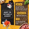 Ultra Fresh Apex Goldfish Color Boosting Crisps, Color Boosting Premium