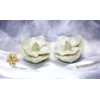 CG 20730 2.5" Painted White Layered Petals Gardenia Salt and
