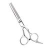 Hair Thinning Shears, Hair Cutting Scissors (6.7 Inches) with Fine