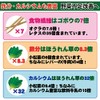 Organic Cultivated Mulberry Leaf Green Juice, Made in Kagoshima Prefecture,