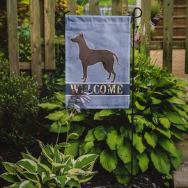 Caroline's Treasures CK3629GF Mexican Hairless Dog Xolo Welcome Garden Flag Mailbox Flag Decorative Yard Flag Banner Outside Patio Artwork Yard Flower Beds, Garden Size, Multicolor
