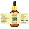 Devprayag Pure Vanilla Essential Oil (Vanilla planifolia) with Glass Dropper