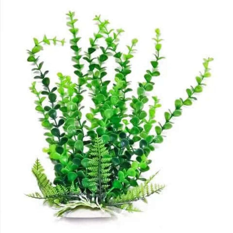 Aquatop 6-inch Bacopa-Like Aquarium Plant with Weighted Base – Fish