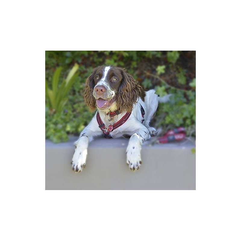 Rogz Armed Response Harness Red Heart, 25 mm