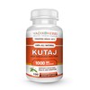 Kutaj (Holarrhena Antidysenterica, Kutaja) ~ 100 vegicaps ~ Safety Tested