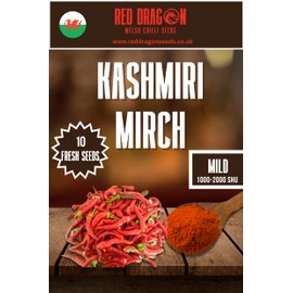 Kashmiri Mirch Chilli Seeds - 10 Fresh Seeds - Great Pepper for Eating and Making Red Chilli Powder