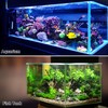 VOCOSTE Coral Reef Decor, Mini Faux Coral Decor for Aquarium