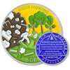 8 Month Sobriety Coin Sobriety Chips AA Chip AA Coins