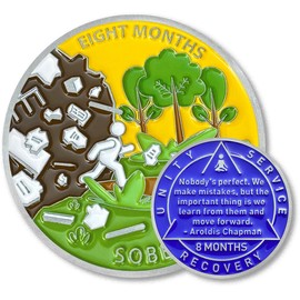 8 Month Sobriety Coin Sobriety Chips AA Chip AA Coins Sober Token Recovery Medallion NA Chips NA Coins from 1 to 12 Months Plastic case Included-Baking Paint Process