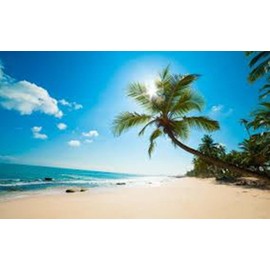 Quiet Time Candles 1 oz Bottle Home Fragrance Oil Or for Candle & Soap Making - Butt Naked