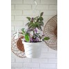 The HC Companies Euro Hanging Basket Planter Decorative 12-Inch Large