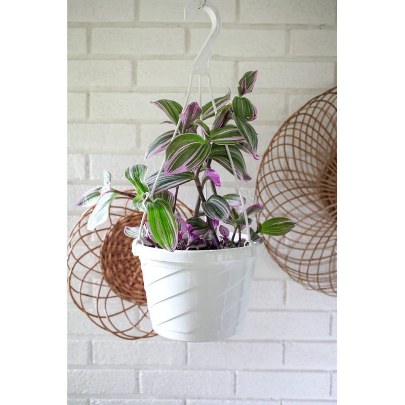 The HC Companies Euro Hanging Basket Planter Decorative 12-Inch Large