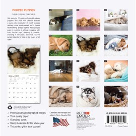 RED EMBER Pooped Puppies 2025 Wall Calendar 12 Month | 12" x 24" Open | Thick & Sturdy Paper | Giftable | Calendar 2025