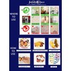 Jaamso Royals 'Multicolor 3D Butterflies' Wall Sticker 4 Combo of