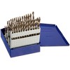 Irwin Tools IRWIN Drill Bit Set, 60-Piece (80181)