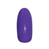 Pregel Gel Nail Color EX Iris 814