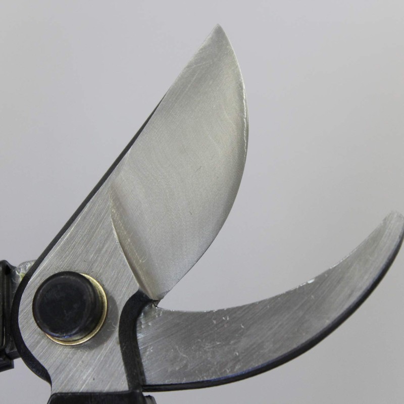 Tenju Pruning Shears 200 Piece Forged Top Grade Steel Mitomi