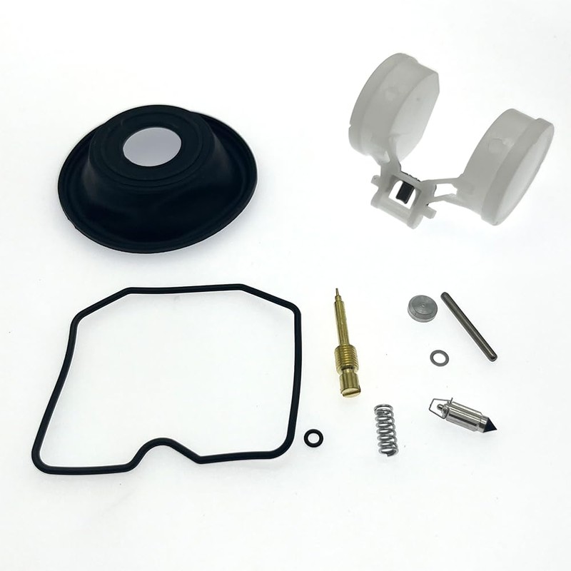 2-Pack Carburetor Repair Kits Carb Rebuild Kit with Diaphragm Float