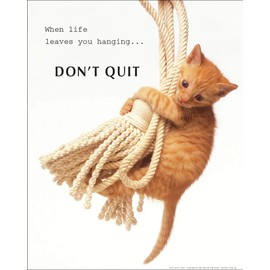 Don't Quit Cute Cat Kitten Animal Motivational Poster 16 x 20 inches