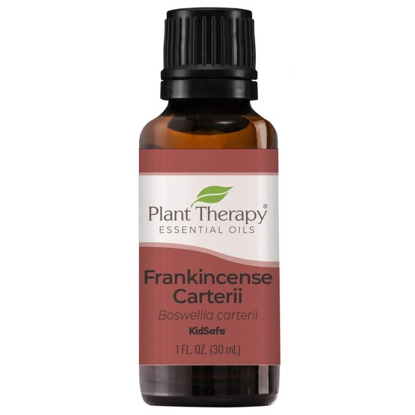 Plant Therapy Frankincense Carterii Essential Oil 100% Pure, Undiluted, Natural Aromatherapy, Therapeutic Grade 30 mL (1 oz)
