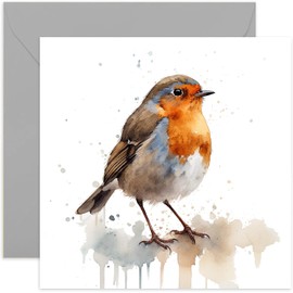 Old English Co. Watercolour Robin Greeting Card for Birthday - Cute Birthday Card for Mum, Nan, Her - Wildlife Art Card for Thinking of You, Thank You, Just Because | Blank Inside Envelope