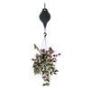 MuchL 4 Pack Retractable Plant Hanger Heavy Duty Plant Pulley