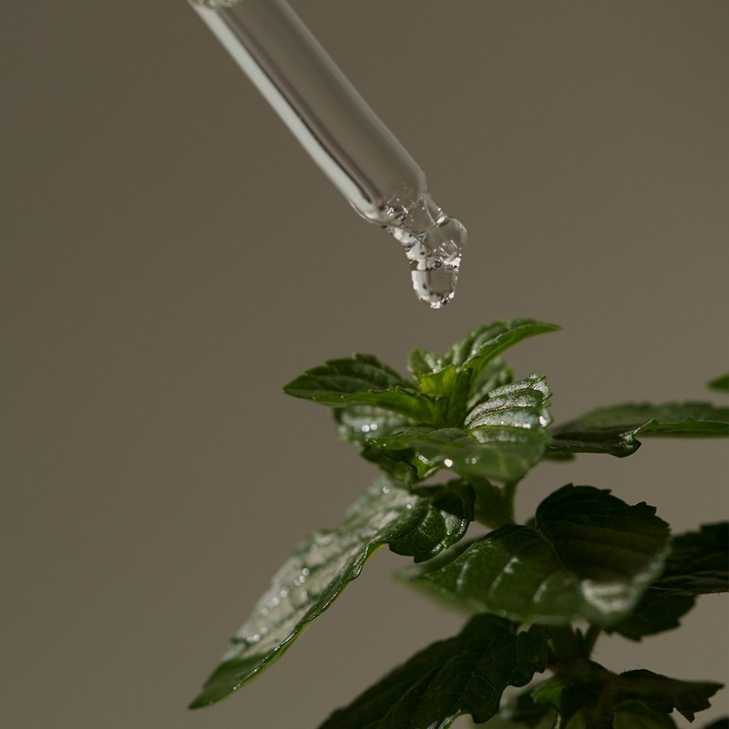 민트리 탄산버블 두피 스케일러, 15g, 5개 Mintree Carbonated Bubble Scalp