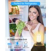 Megereet Refrigerator Bulb KEI D28M KEL 2815 KEI D28X KEL
