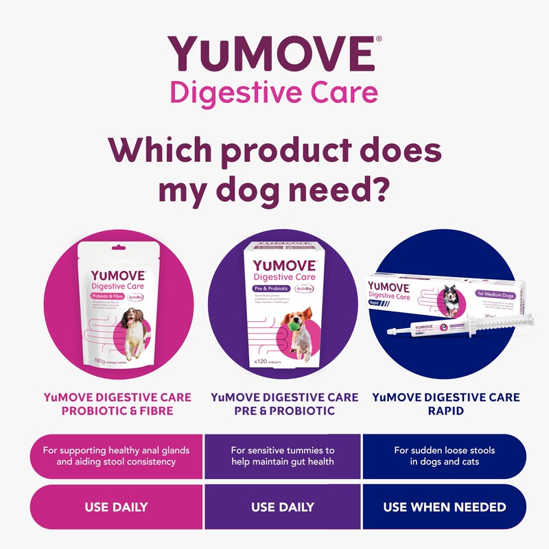 YuMOVE Digestive Care Rapid, Dog Pre and Probiotic Paste for