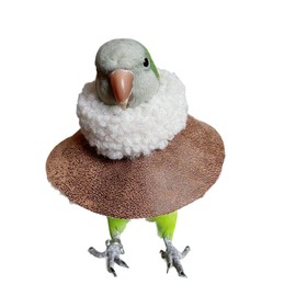 Parrot Neck Collar Pet Anti-bite Picking Feather Healing Protective Neck Cover Collar for Birds (XL)