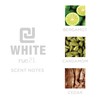 Rue 21 CJ White Men's Cologne Spray - 1.7 fl