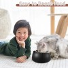 Irenare 4 Pcs Raised Cat Food Bowls Stainless Steel Tilted
