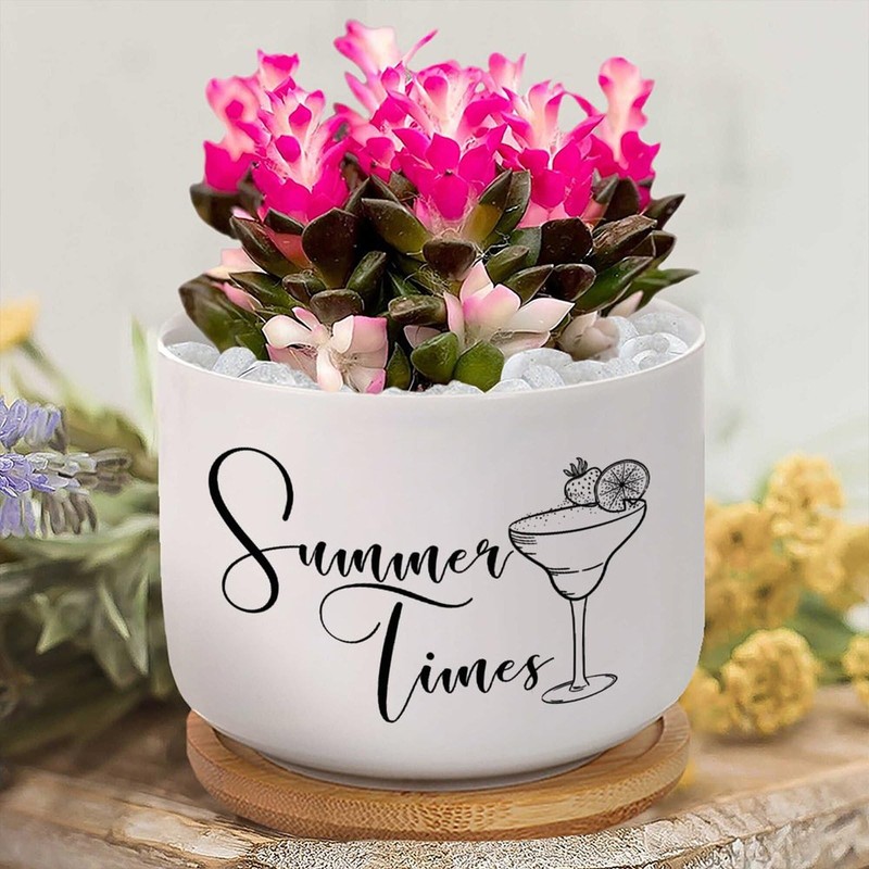 DecStic Summer Times Ceramic Planter Bible Verse Pots for Plants