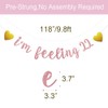 I'm Feeling 22 Banner, Pre-Strung, No Assembly Required, Rose Gold