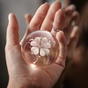 Flexzion 3D Clover Crystal Ball Night Light - LED Light