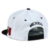 Mexican Hat Snapback Hecho En Mexico Eagle Aguila Flag Flat