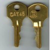 EST GE EST EDWARDS CAT 45 Fire Alarm Key x1