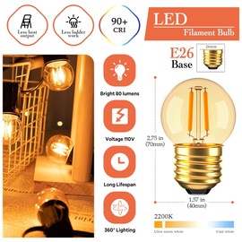 G40 Low Watt Light Bulb Edison LED Bulb Mini Globe Light Bulbs 1W Equivalent to 10Watt Incandescent E26 Screw Base Led Bulbs Ultra Warm White 2200K, Non Dimmable (G40g-2pack)